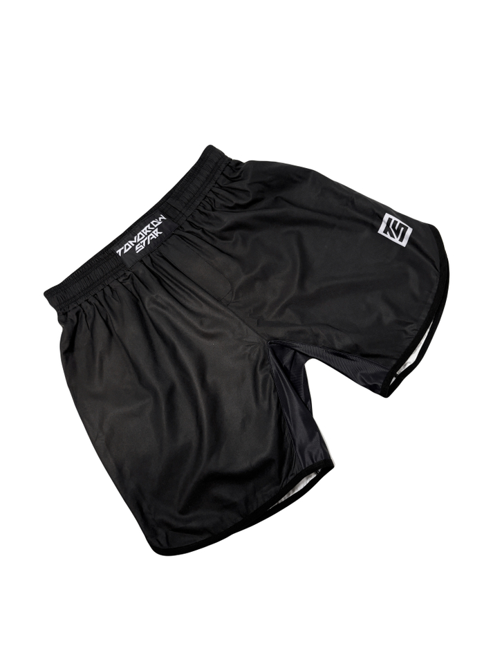 Шорты TS SPORT черные 00007