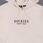  Толстовка мужская Dickies Park Hoodie артикул:DK0A4YEHF901 - купить в магазине Дайс