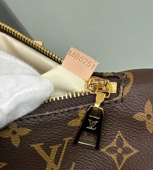 Поясная сумка Louis Vuitton Bumbag Monogram коричневый