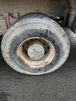 Shacman (Shaanxi) SX* 6x6 Самосвал SX32586T385 (Дизельный, 11,6 л, 369 л.с., МТ)