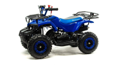 Квадроцикл MOTOLAND 50 Scorpion (2021 Г.)