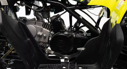 Квадроцикл MOTOLAND (МОТОЛЕНД) 125 RAPTOR A