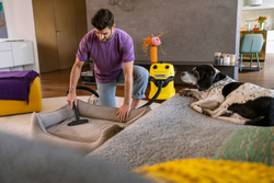 Насадка для мебели против шерсти домашних животных