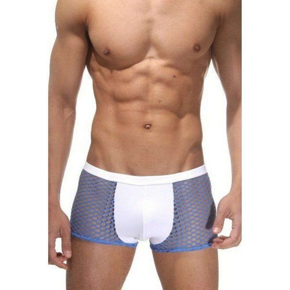 Трусы мужские боксеры синие в сеточку La Blinque LB15044