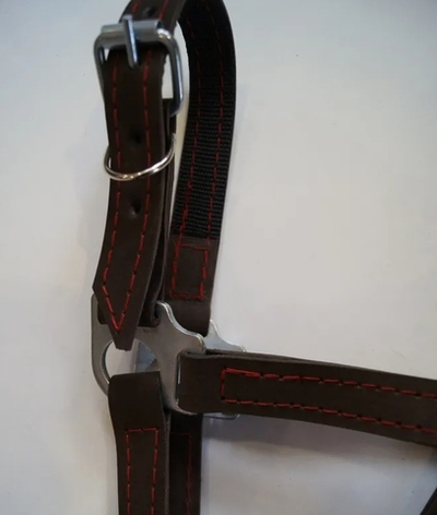 Недоуздок кожаный (размер COB)