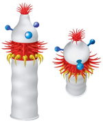 Презерватив LUXE Maxima "Аризонский Бульдог" - 1 шт.