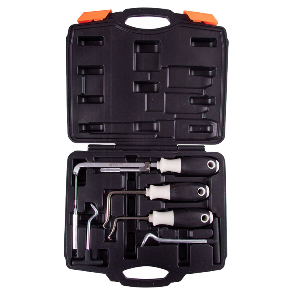 AFFIX (AF10960006C) Набор для демонтажа сальников, колец и шлангов, кейс, 6 предметов