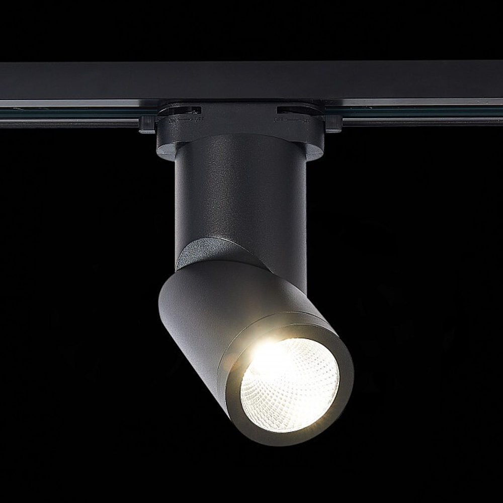 Трековый светильник ST-Luce ST650.436.10