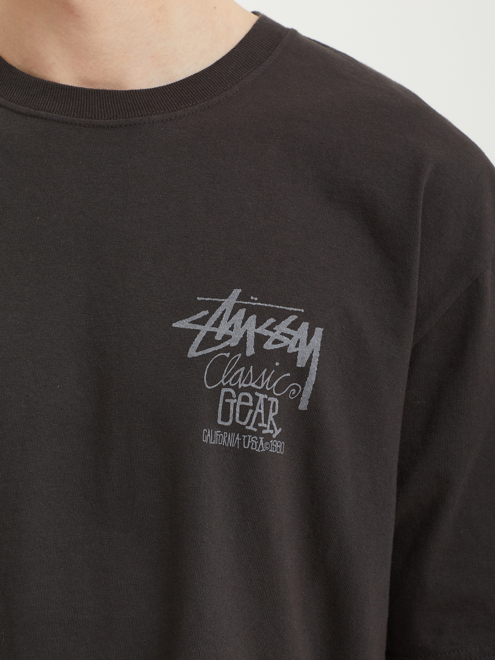 Мужская Футболка Basic Stussy Pig. Dyed