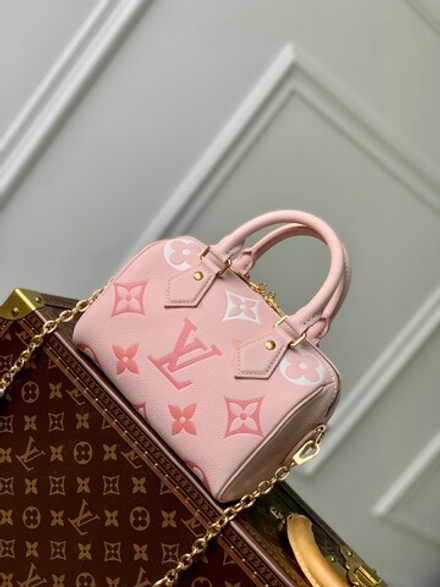 Louis Vuitton Speedy 20