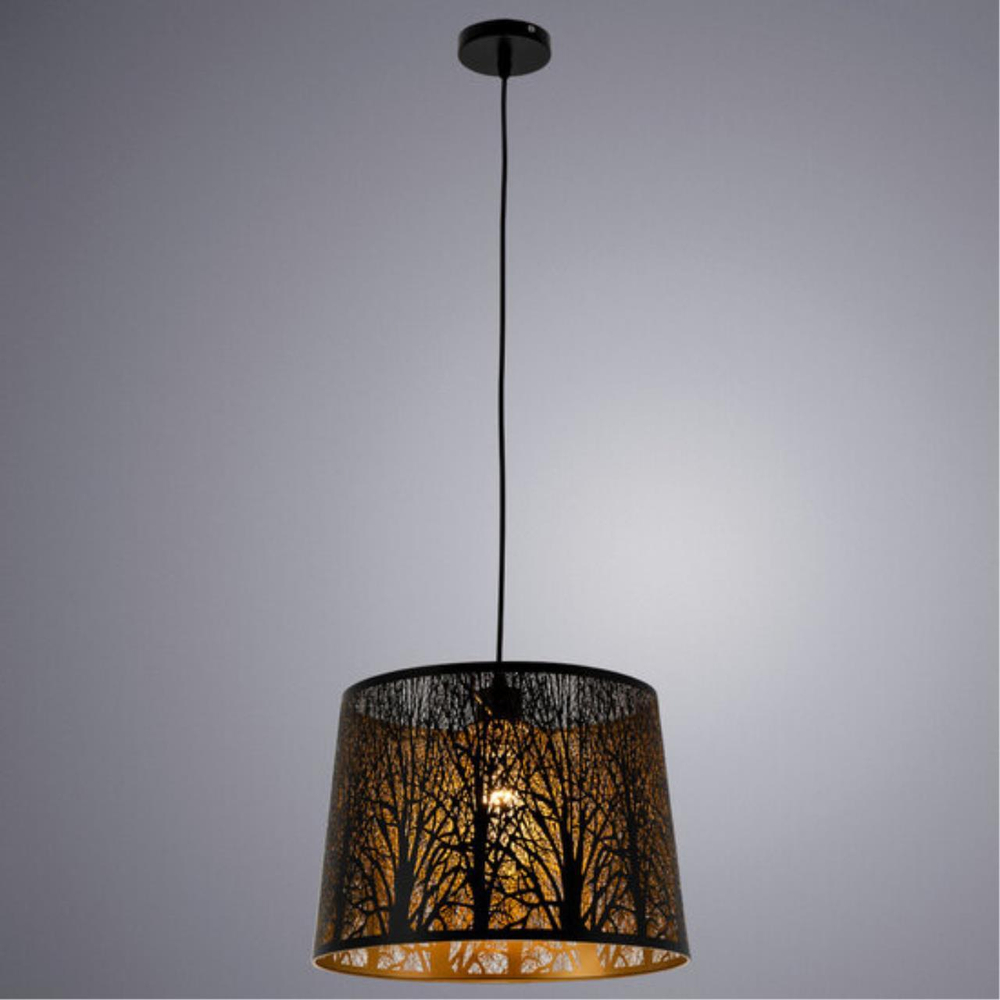 Светильник подвесной Arte Lamp Celesta A2769SP-1BK