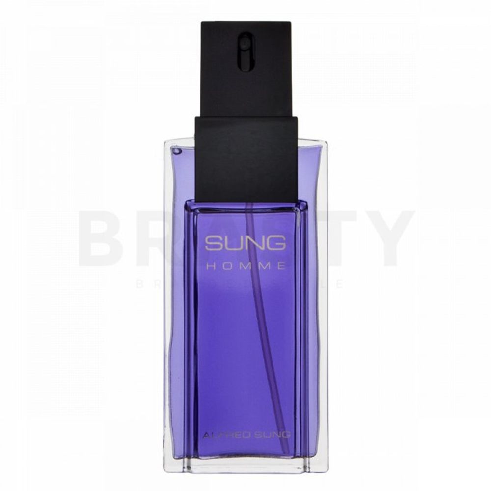Alfred Sung Sung Homme EDT M 100 ml