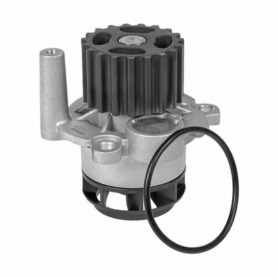 Помпа, водяной насос VAG A2/A3/Skoda/Golf V/Caddy III all TDI 03 GANZ GIF02092