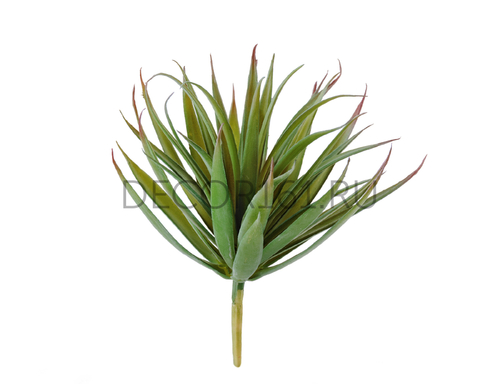 Суккулент Трава Пик зелёная с бордовыми кончиками в-11, д-12 см 24/288 20.091615-NGR