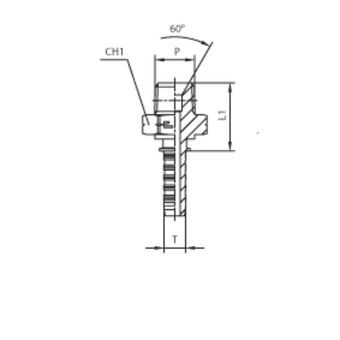 Фитинг DN 20 NPTF 1