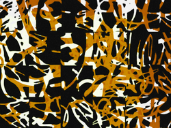 THE SECRET LANGUAGE 30