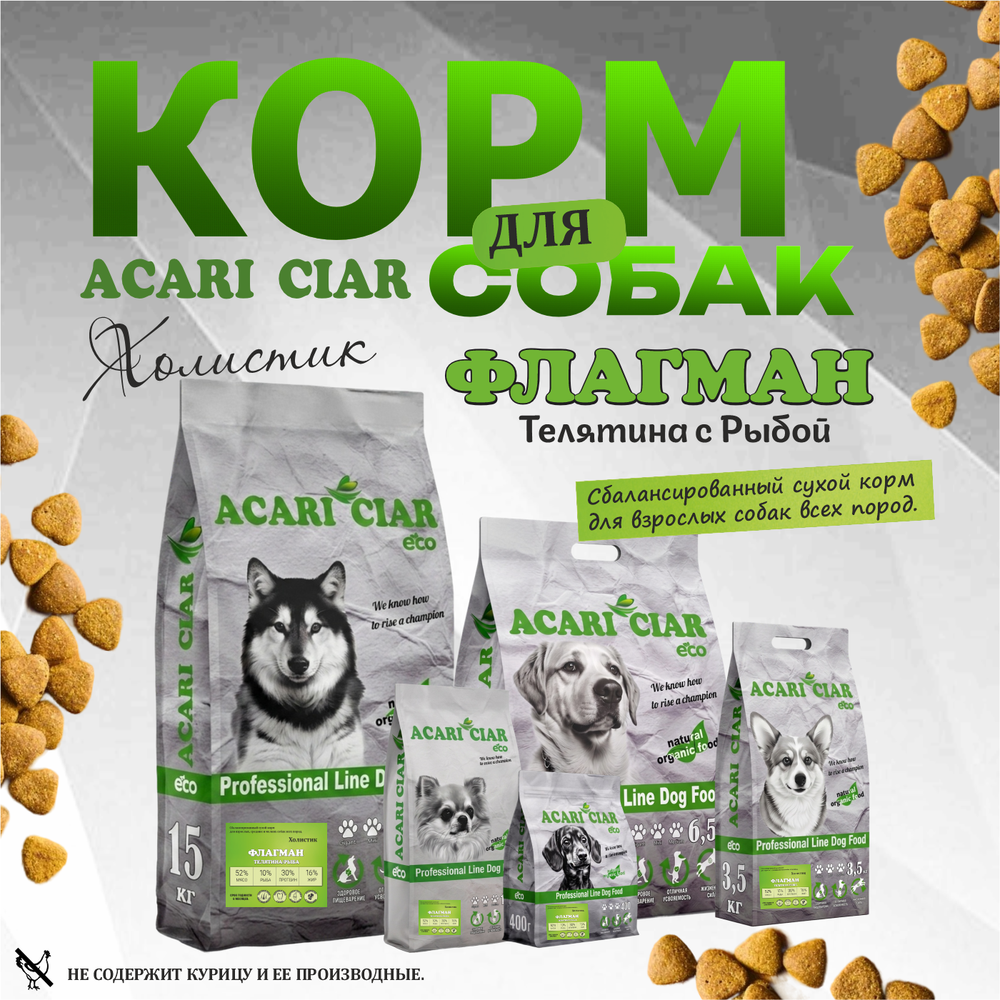Acari Ciar Флагман
