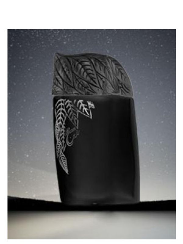 Syed Junaid Alam Razeen Midnight