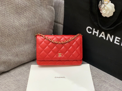 Chane1 WOC 19 cm