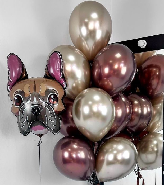 "Веселая прогулка" (набор из 11 шаров. Бульдог) №8527