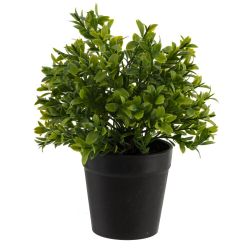 GAEM Цветочная композиция, L9,5 W9,5 H23 см