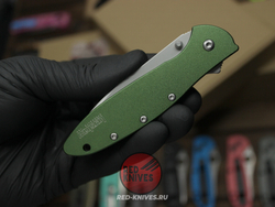 Нож KERSHAW Leek 1660 Green - зеленая рукоять