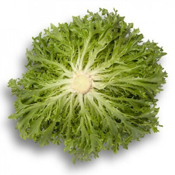 ЭКСПЕРТАЙЗ семена салата Rijk Zwaan описание – фото 6