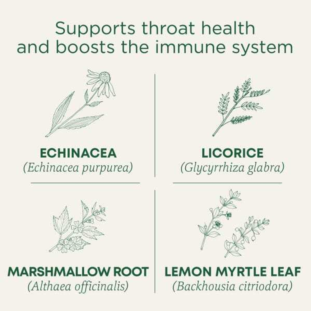 Traditional Medicinals, Organic Throat Coat, лимонная эхинацея, без кофеина, 16 чайных пакетиков в упаковке, 32 г (1,13 унции)