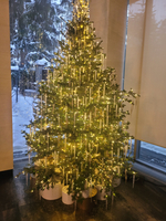 Дизайнерская ель «Хрустальный лёд»