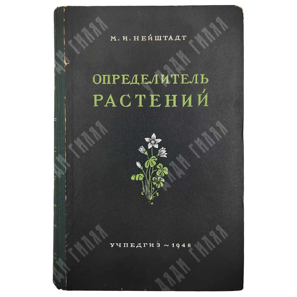 Нейштадт М. И. Определитель растений, М. 1948.