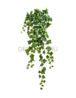 Английский плющ Олд Тэмпл зелёный в-90 см (191 лист) (Sensitive Botanic) 6/36 20.05170260N-S