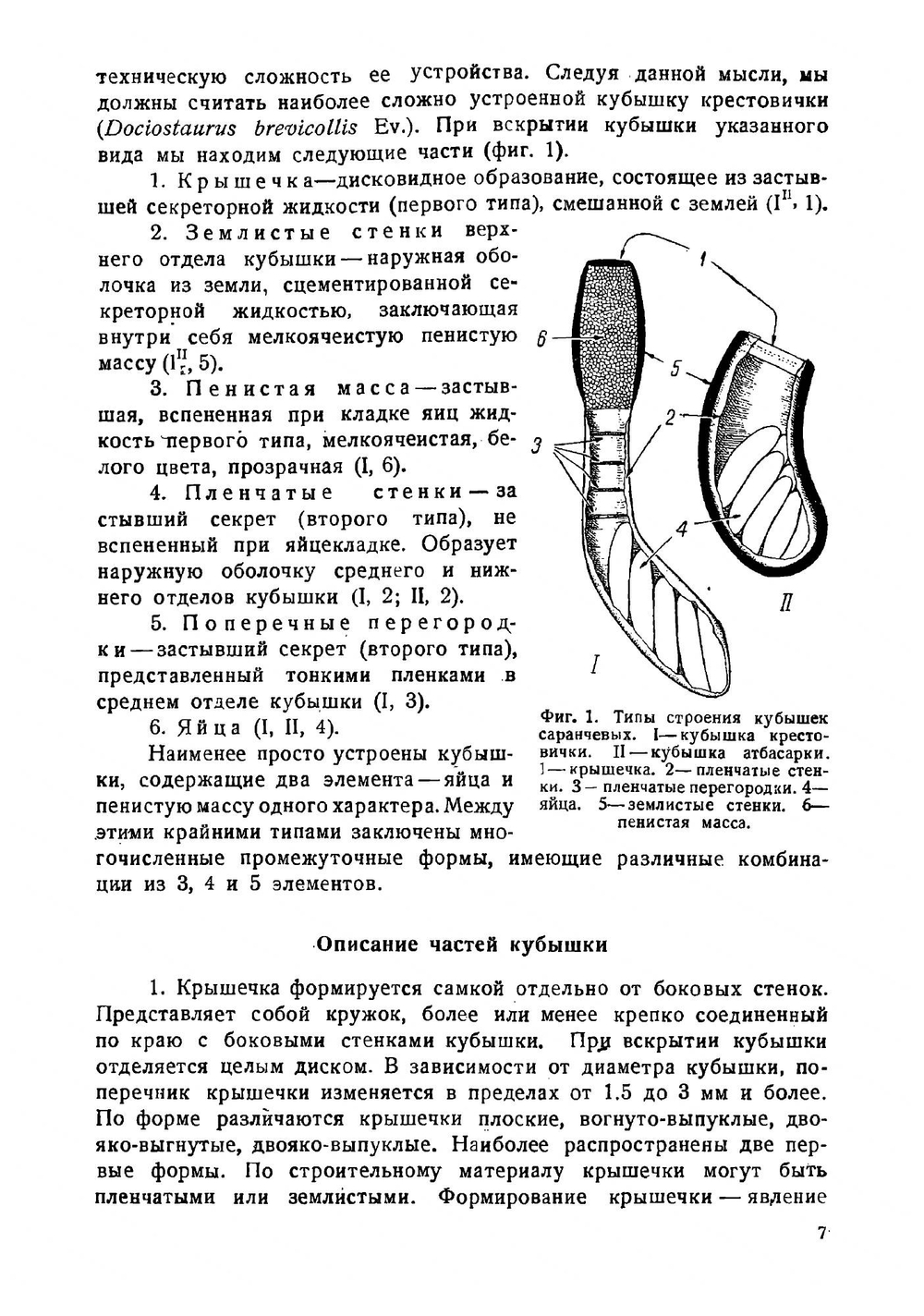 Определители по фауне СССР. Том 23. Кубышки саранчевых. | Л. Зимин
