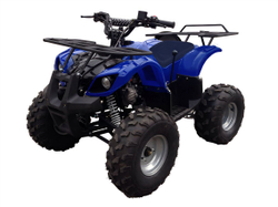 Квадроцикл MOTAX ATV A-54