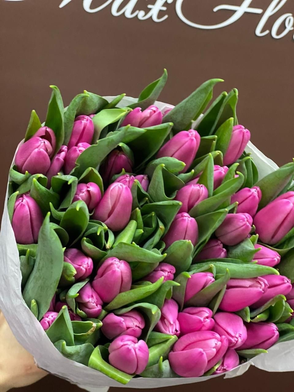 51 Тюльпан 8 Марта М-65