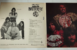 Винтажная виниловая пластинка LP Iron Butterfly Ball (USA 1969)