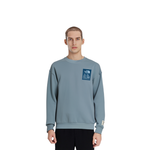 Толстовки THE NORTH FACE Logo, NM5MM61C