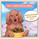 Сухой для собак ZILLII Dog Adult 15кг индейка и ягненок сухой для собак