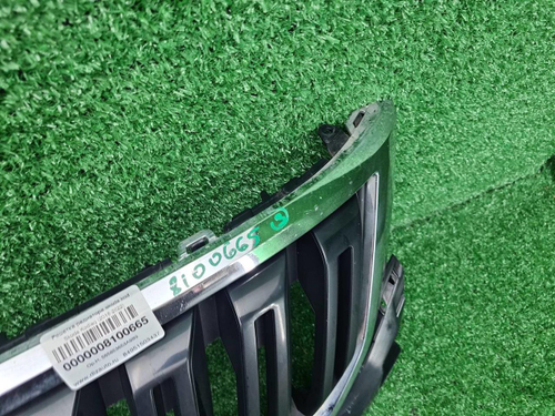 Решетка радиатора Skoda Kodiaq (2016-2022)