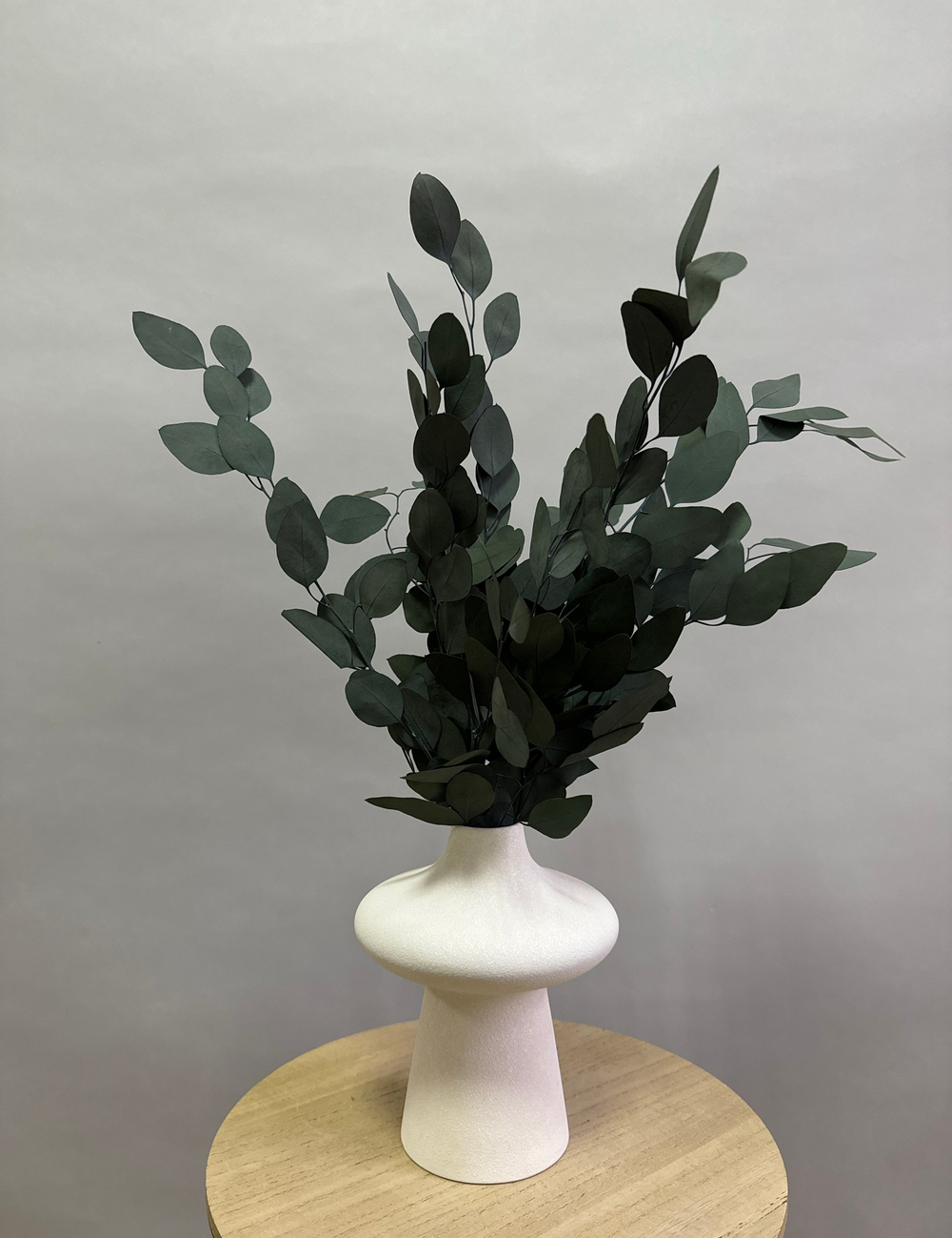 Эвкалипт Популус стабилизированный натуральный зеленый