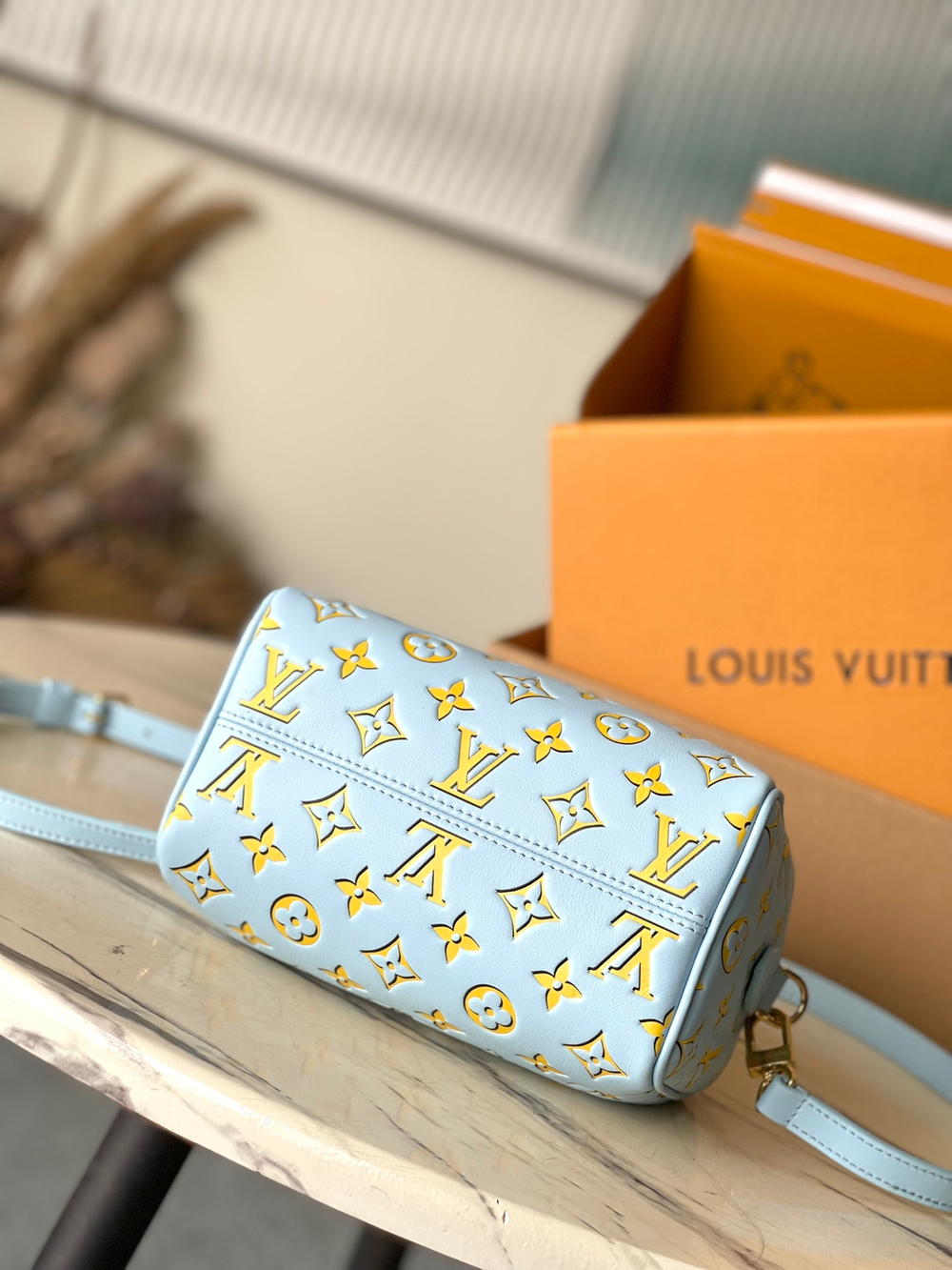 Louis Vuitton Speedy 20