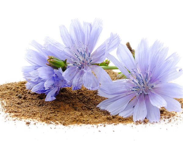 Снижаем гликемический индекс – что можно добавить в блюдо?