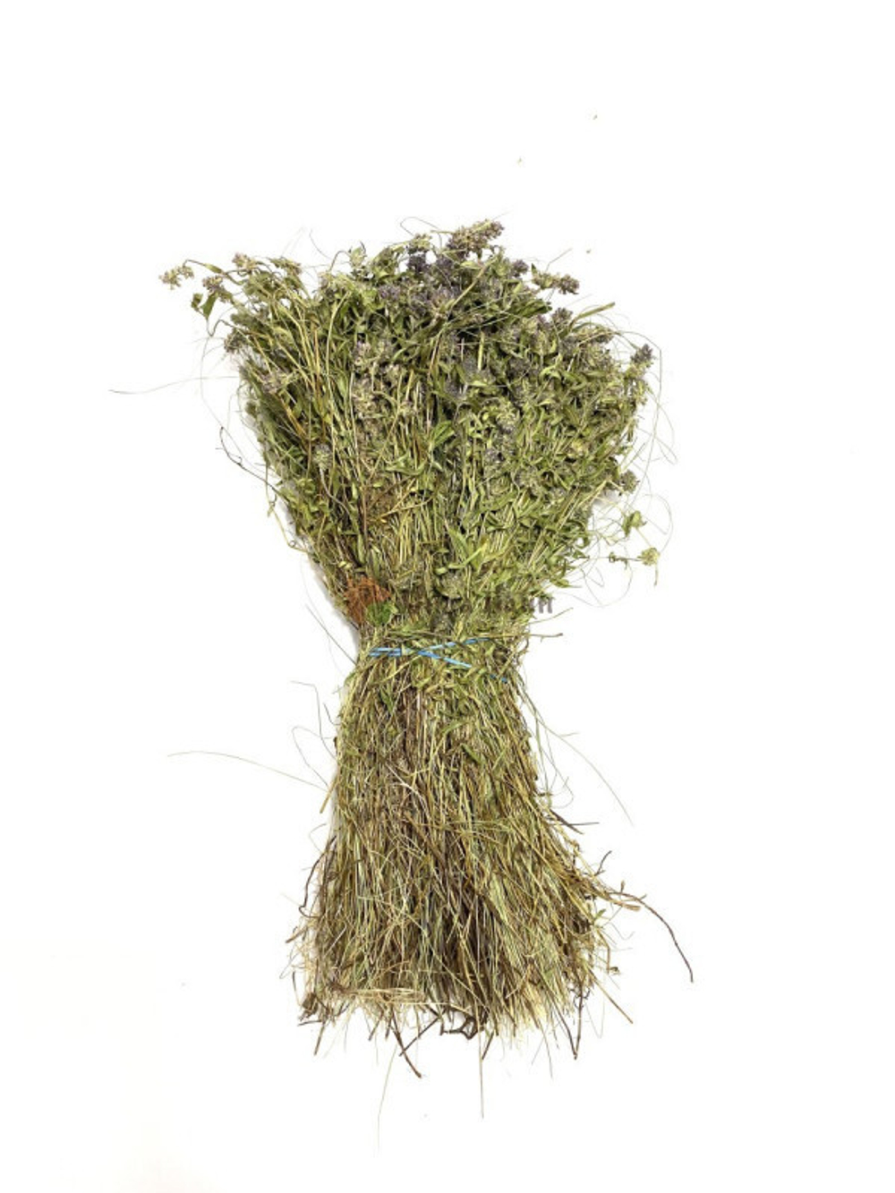 img_30-11_E_035.jpg img_30-11_E_035.jpg