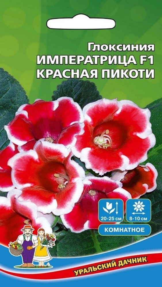 Глоксиния гибридная &quot;G. Императрица Красная Пикоти F1&quot; 5шт., Россия.