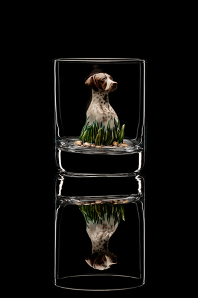 Бокал для виски. Собака. Курцхаар.
