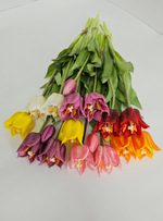 Тюльпаны лилиецветные / Арт 2522