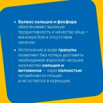ПК-1-3 Премиум (гр. 3,2 мм)