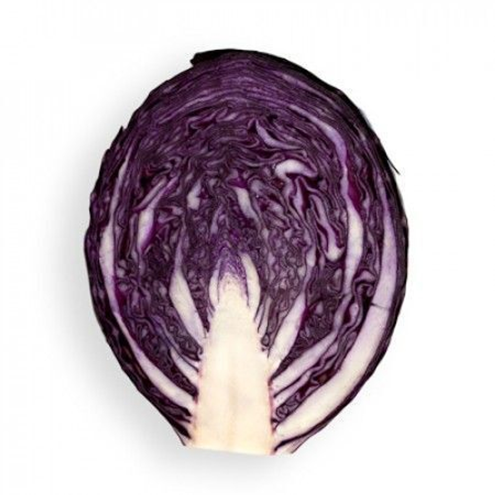 Родима F1 семена капусты краснокочанной (Rijk Zwaan / Райк Цваан)