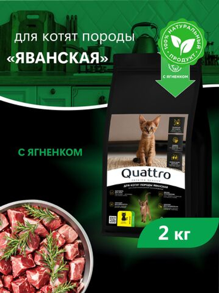 Корм сухой для котят породы Яванская, с ягненком, 2кг, QUATTRO