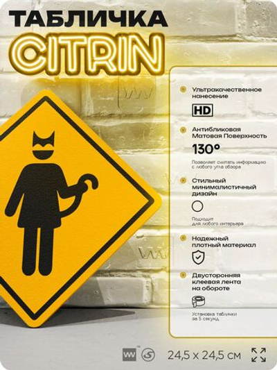 Табличка "Женщина-кошка " шуточная прикольная табличка на дверь и стену, для офиса и дома, декоративный знак, 24,5х24,5 см, пластиковая, Айдентика Технолоджи