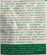 Эустома Мариачи лайм махр. 4 шт СМЦ-341